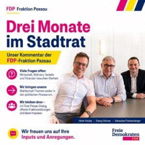 Drei Monate im Stadtrat - Unser Kommentar der FDP-Fraktion Passau mit Holm Putzke, Georg Steiner und Sebastian Frankenberger